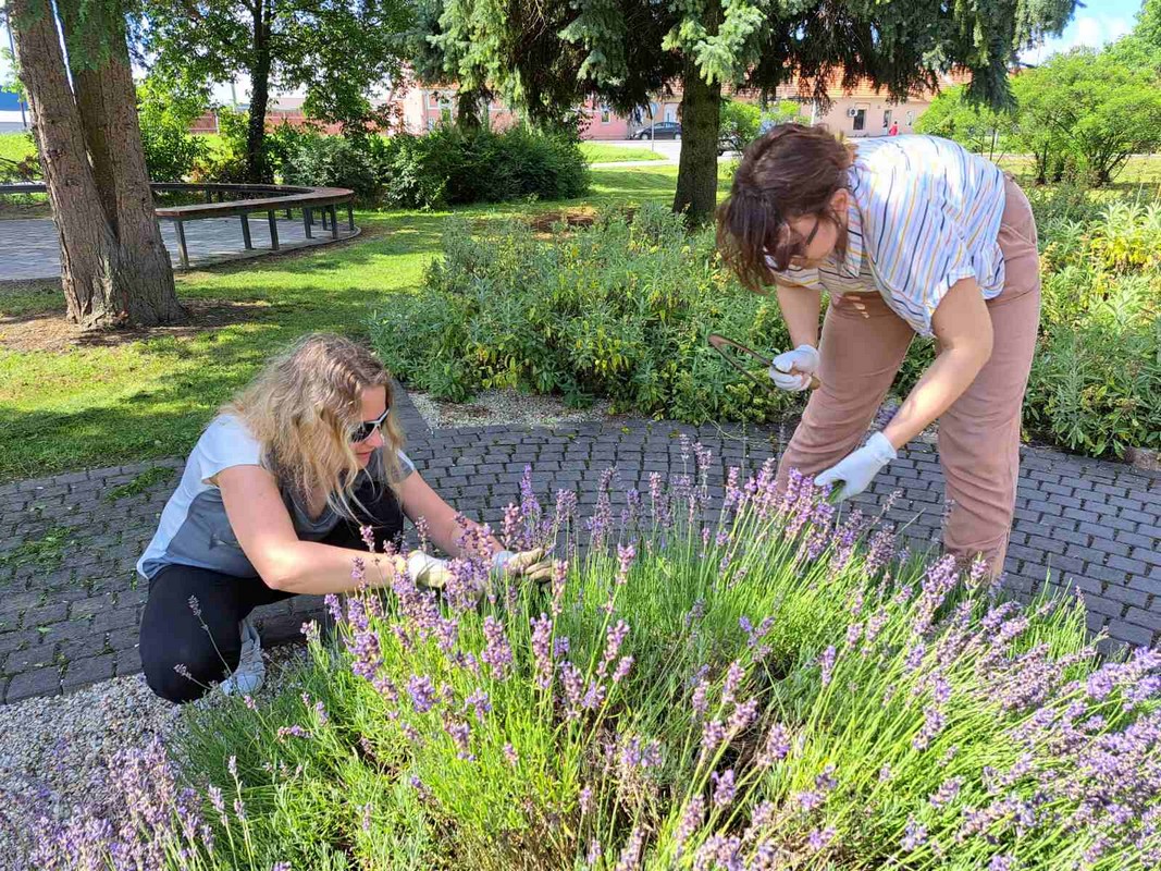 Mirisni vrt ETŠ Čakovec
