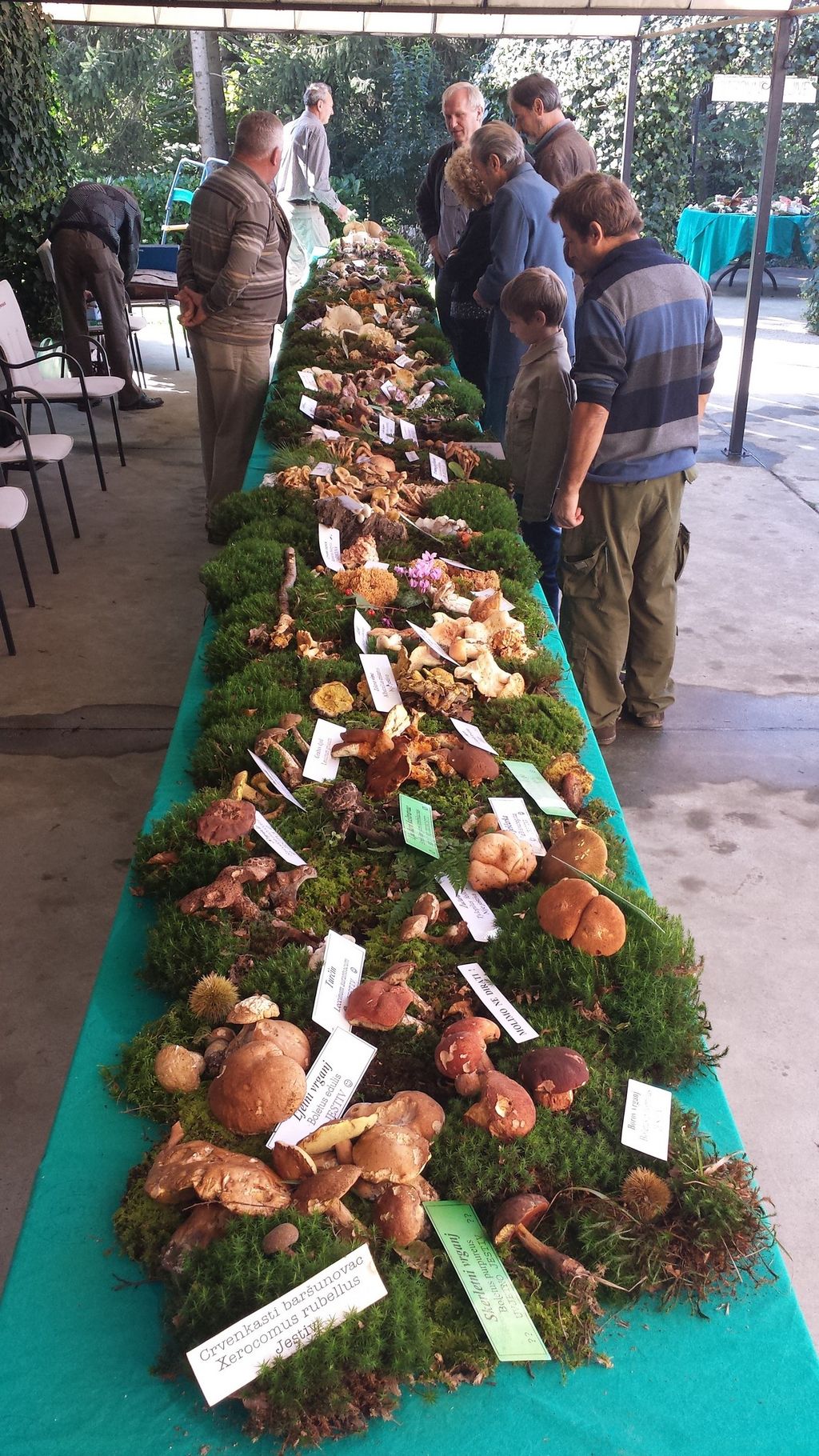 20140928101855829309