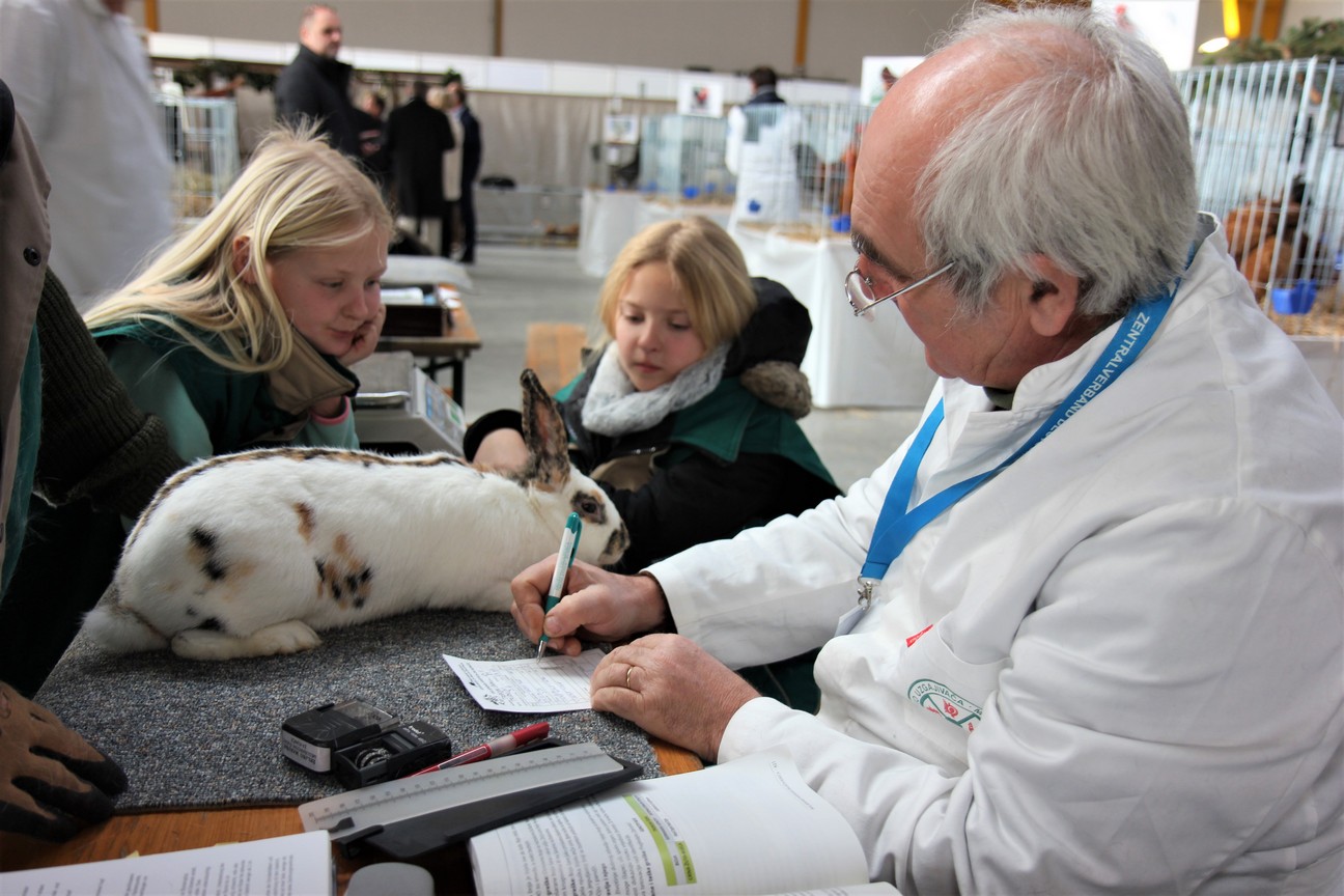 Otvorena izložba malih životinja u Nedelišću