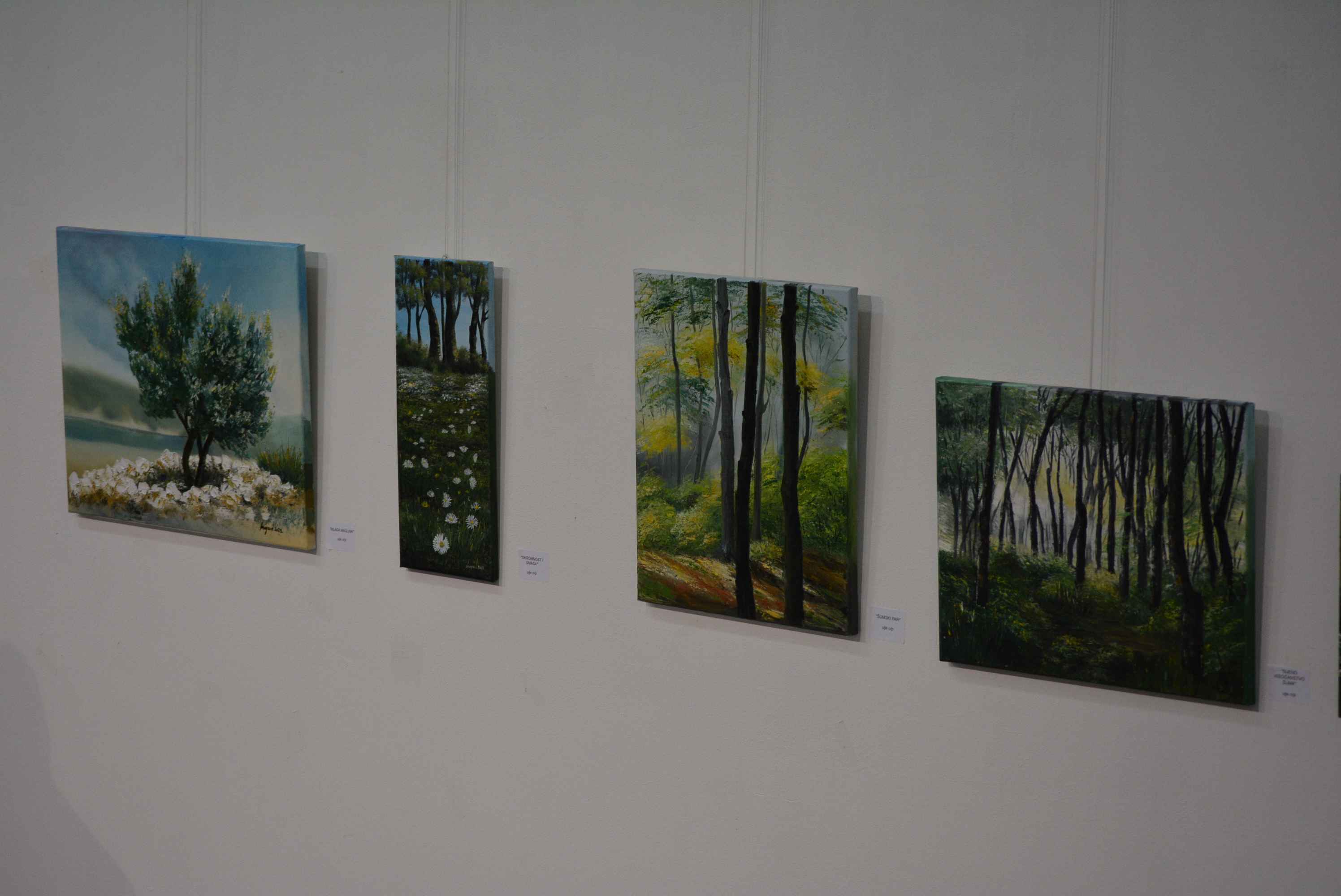 MIRJANA KLOBUČARIĆ Kao djevojčica je štrikala i heklala, a danas stvara očaravajuće slike MIRJANA KLOBUČARIĆ Kao djevojčica je štrikala i heklala, a danas stvara očaravajuće slike