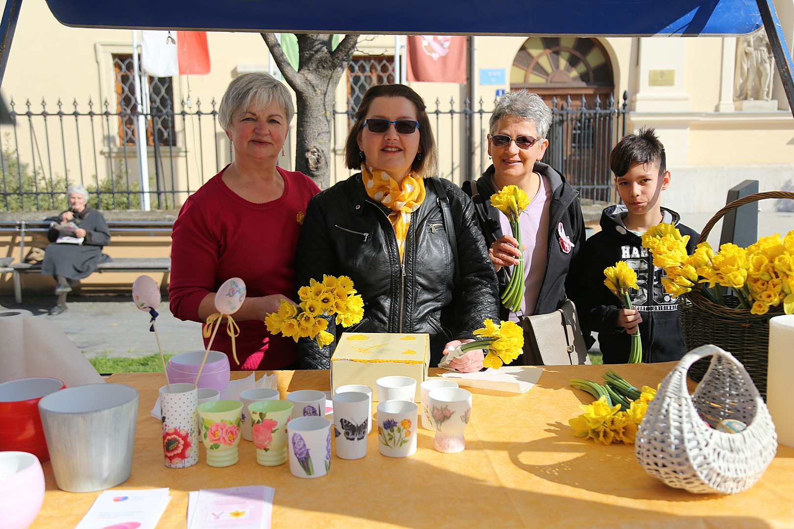 Dan narcisa – Međimurje obojeno u žuto