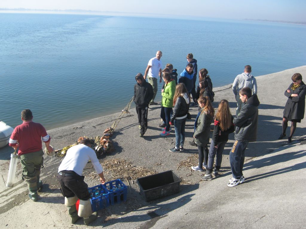 151112monitoring14566238