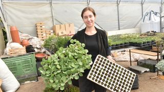 Donji Kraljevec, Maja Šupljika