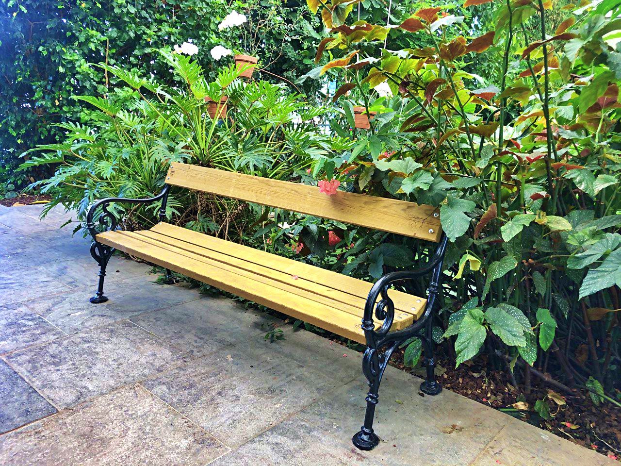 Image 5818417 (auto)