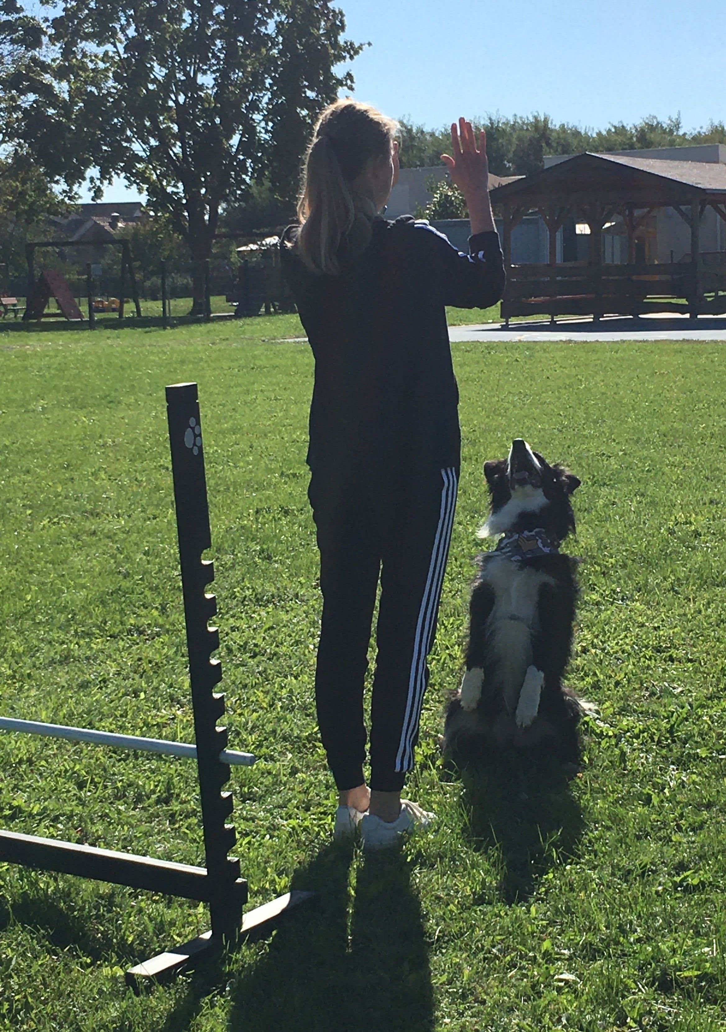 OŠ Tomaša Goričanca Mala Subotica – pas Tesla