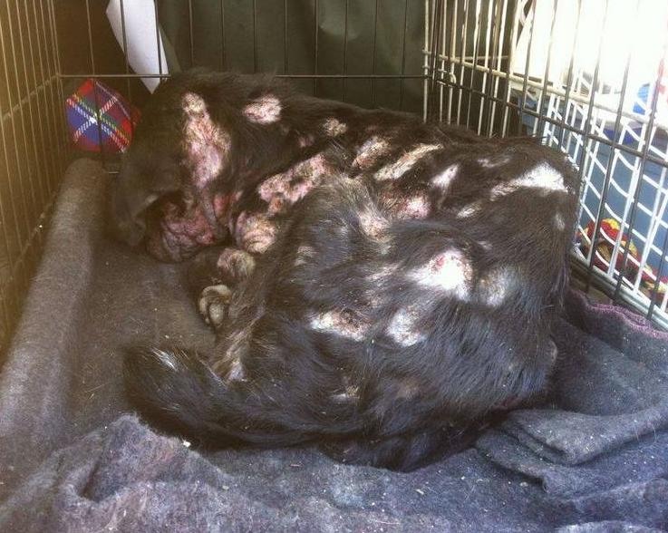 ccd76ee4b864114fc42b86f5719cf4e