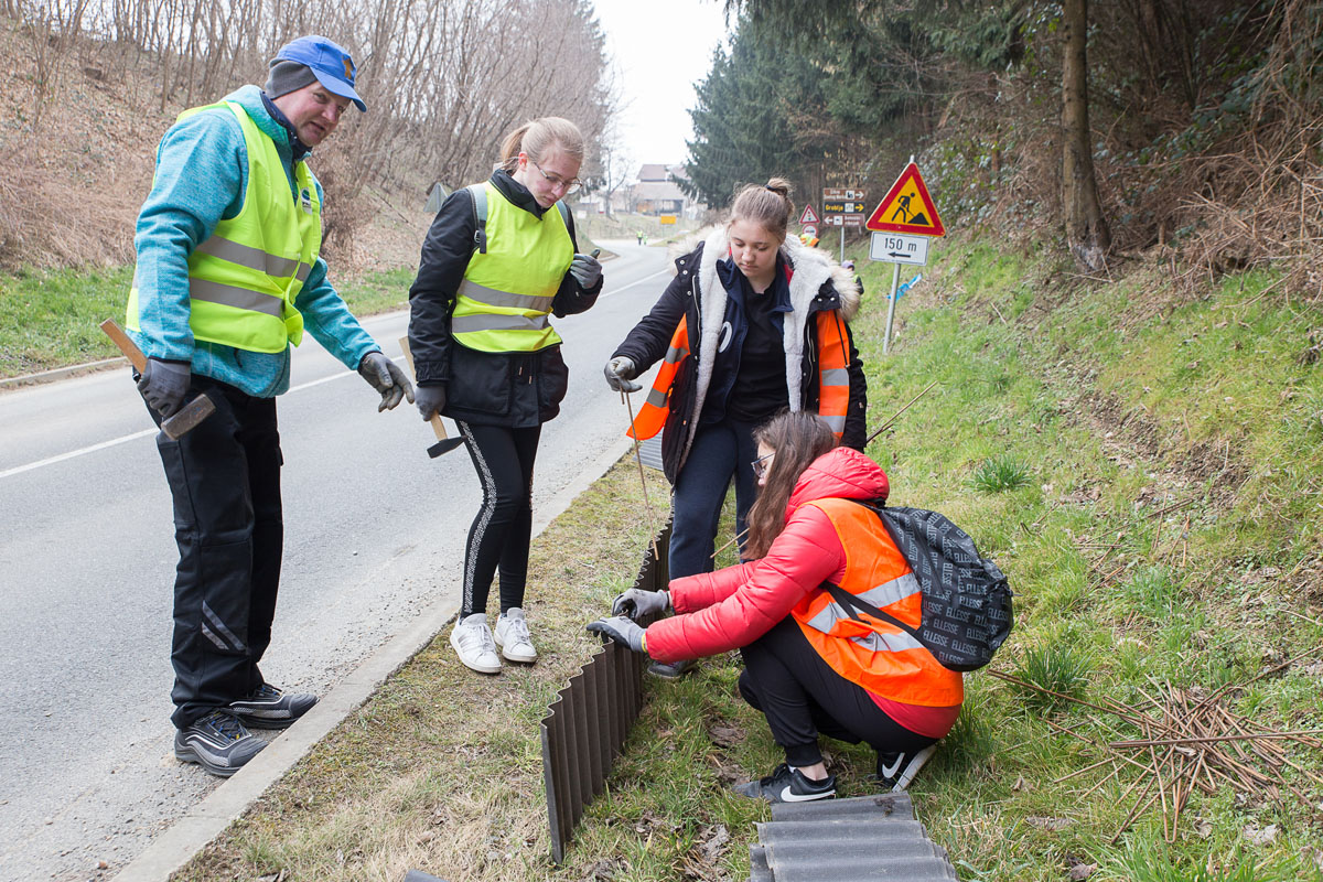 Akcija spašavanja vodozemaca