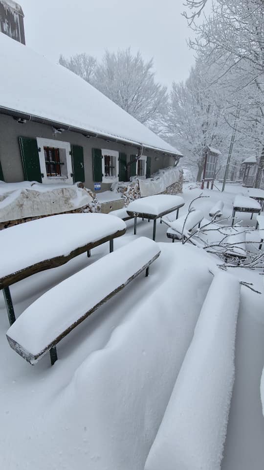 Image 5616153 (auto)