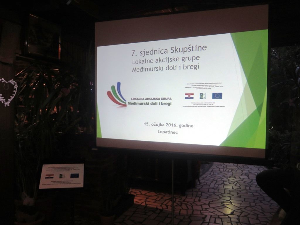 skupstinalag0107251538