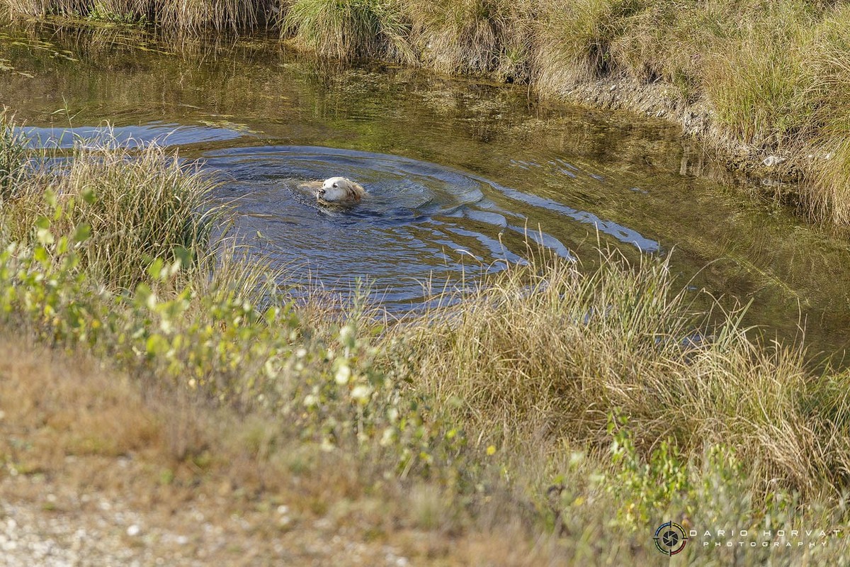 Sunčano popodne mnoge izmamilo na prelošku Marinu