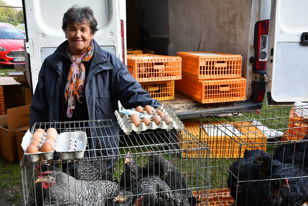 FOTO S dolaskom hladnijih dana povećan interes za kupnju drva za ogrjev