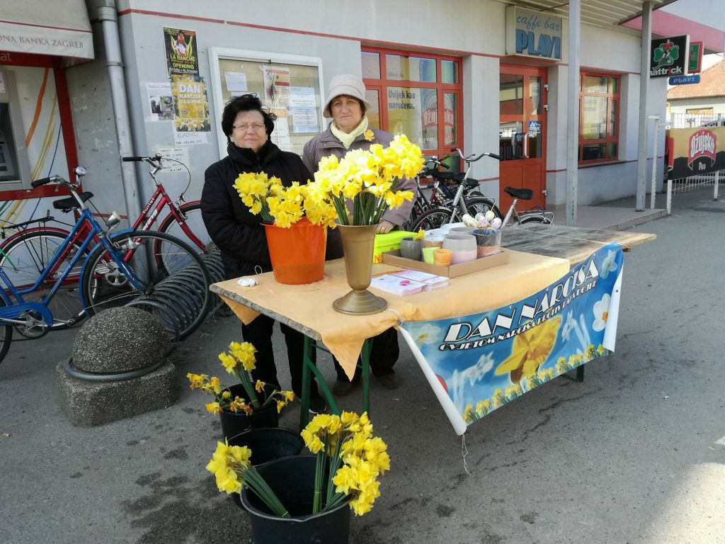 2940538819546380912157736443545