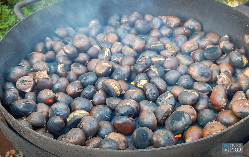 Kestenijada nautičkog kluba Labud iz Preloga