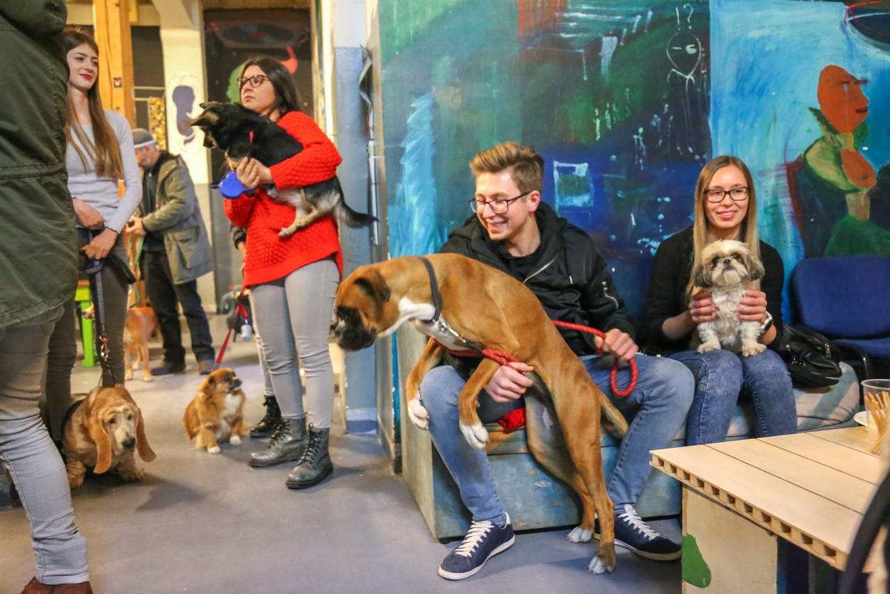 Humanitarno fotkanje s ljubimcima za pomoć azilu Prijatelji Čakovec