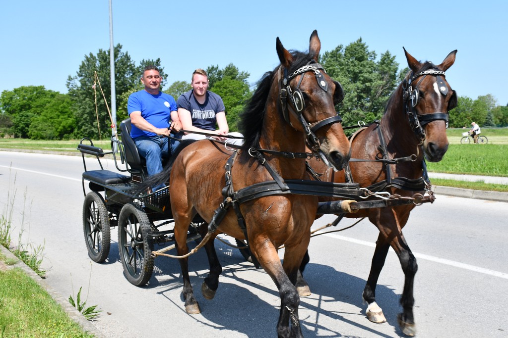 VIDEO I FOTO Međunarodno konjičko druženje okupilo brojne uzgajivače konja iz SZ Hrvatske te Slovenije i Austrije