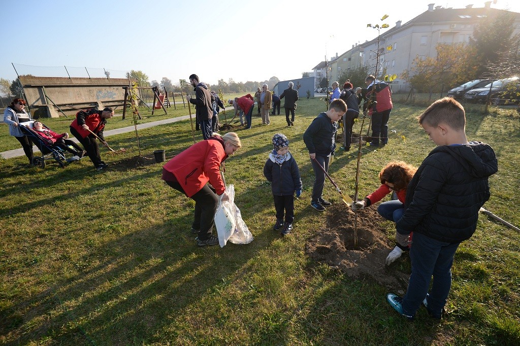 FOTO Velik broj građana subotnje prijepodne iskoristio za sadnju stabala u Čakovcu