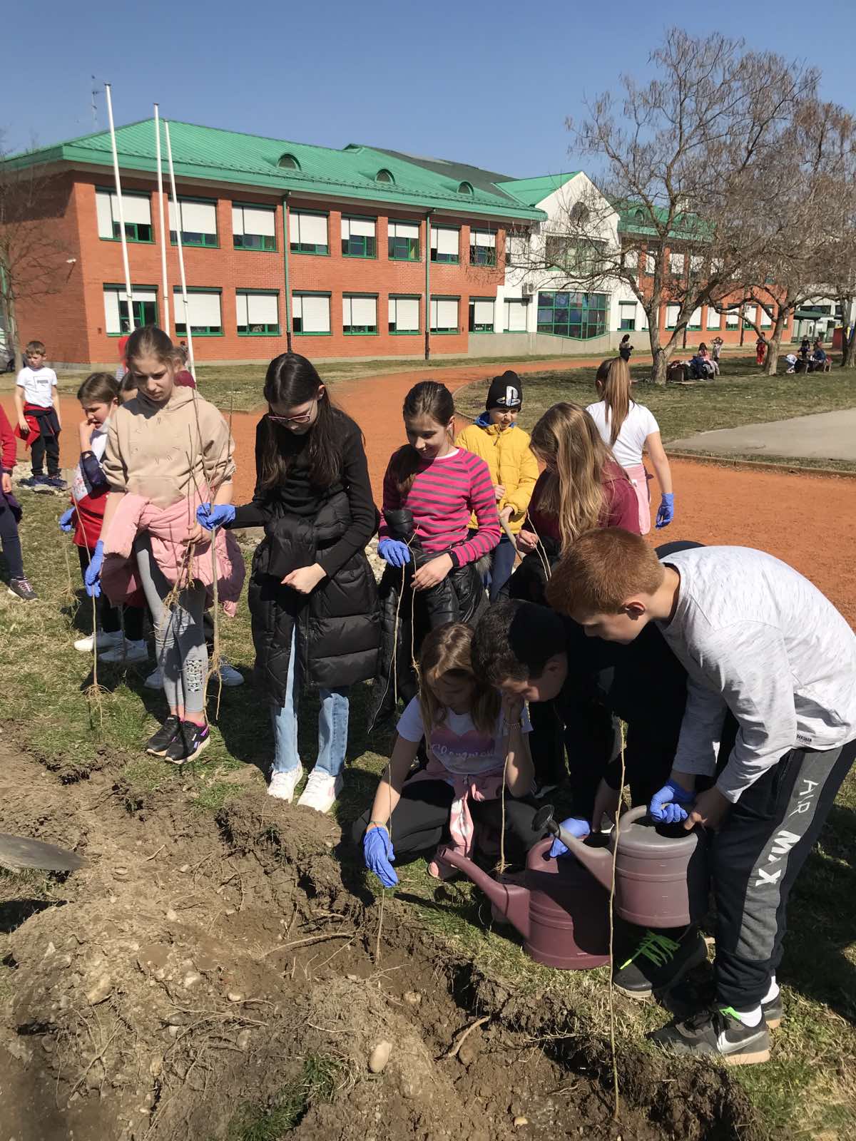 Učenici Osnovne škole Prelog sadili mlade sadnice hibiskusa
