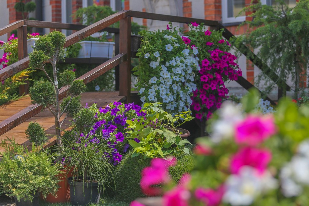 Cvjetne inovacije i ručno izrađeni predmeti ponovno krase centar Čakovca