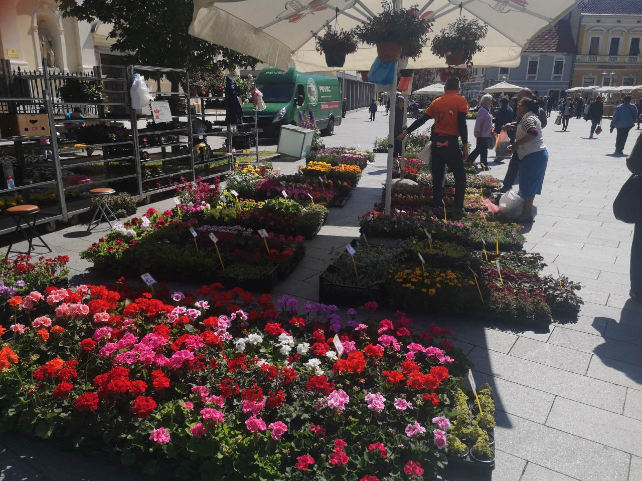 Festival cvijeća, jagoda i tradicije u Čakovcu