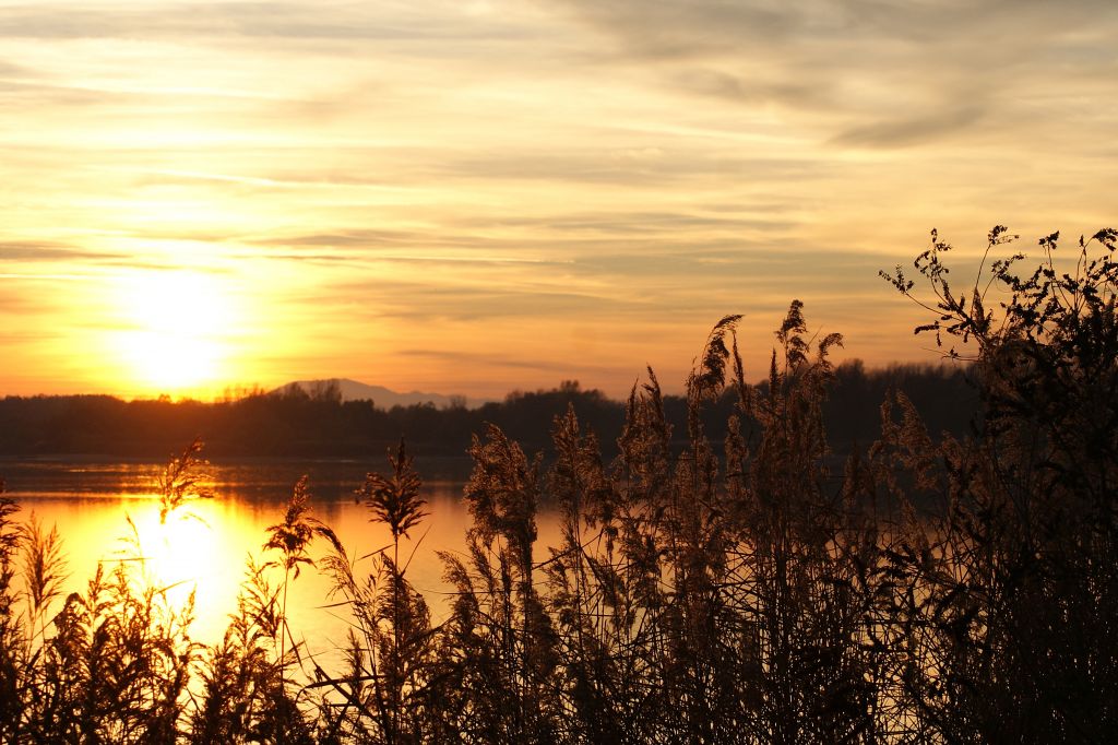 krajolikmogkrajagudlinmartina24