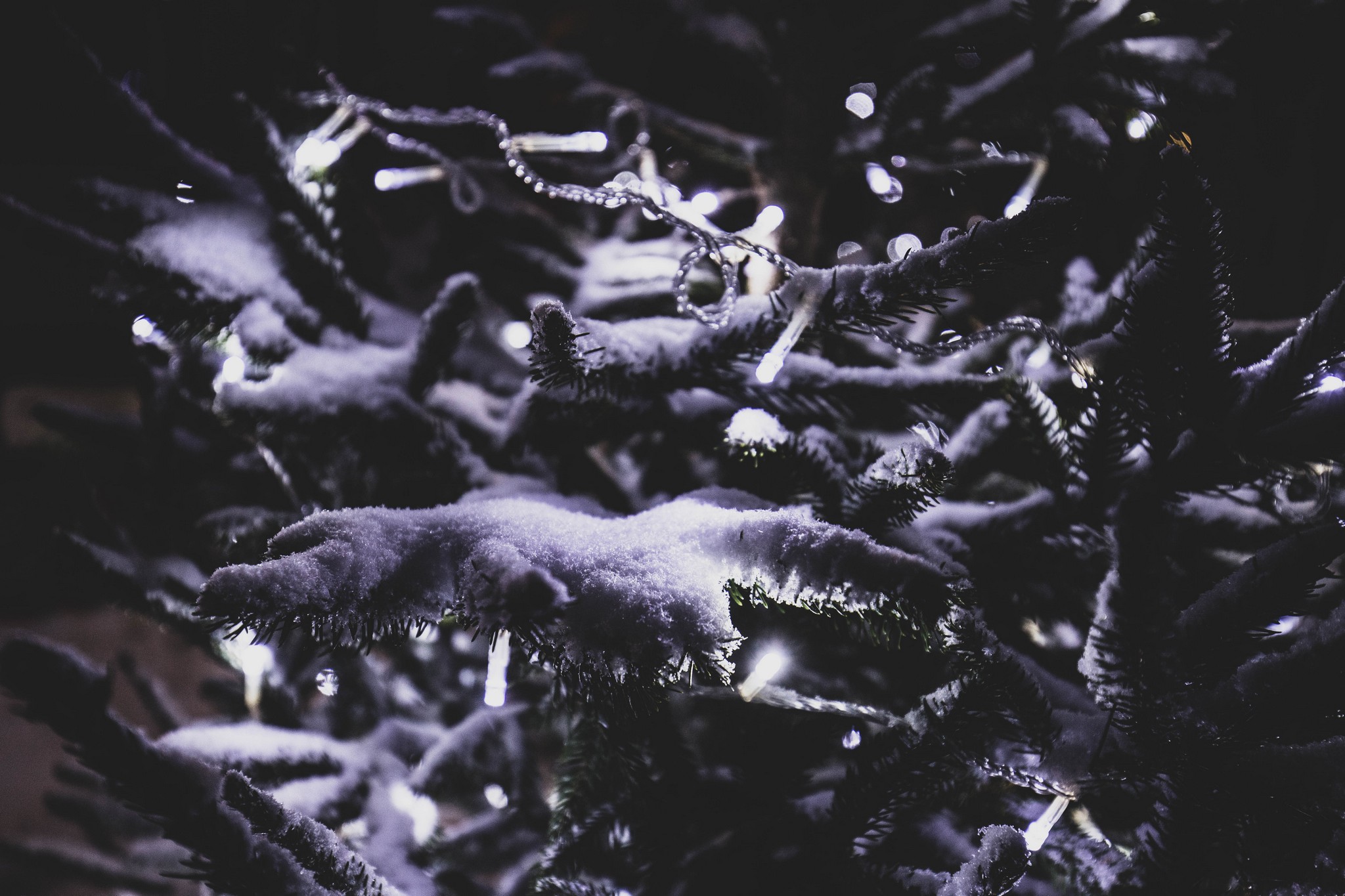 Mališani uživali u sanjkanju, snježna dekoracija centru Čakovca dala posebnu čar