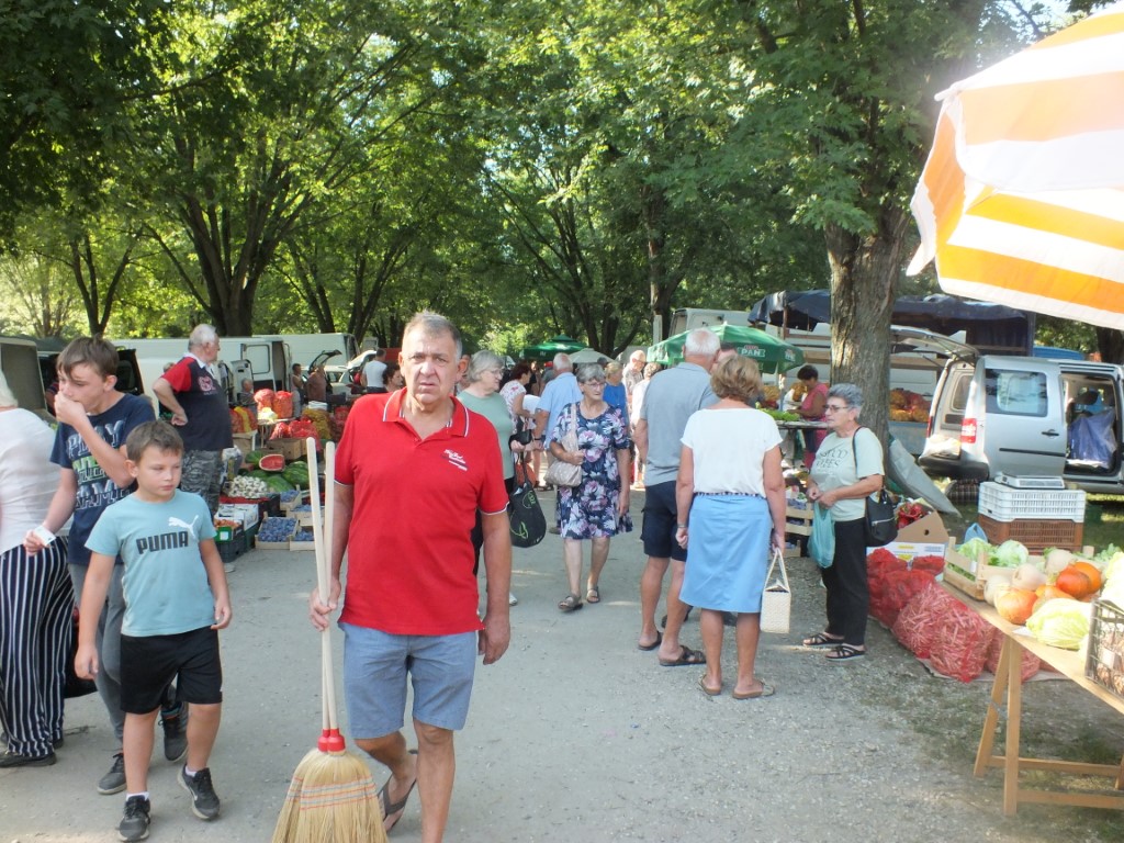 Image 5810889 (auto)