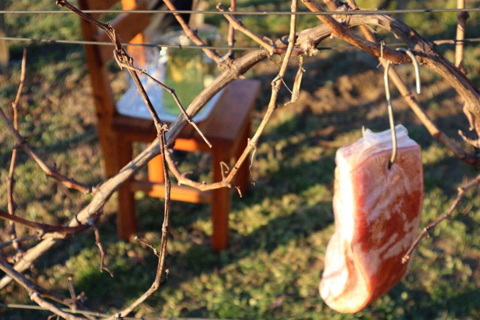 Vincekovo u Općini Sveti Martin na Muri