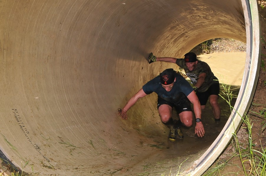 Hog race na imanju PG Geler