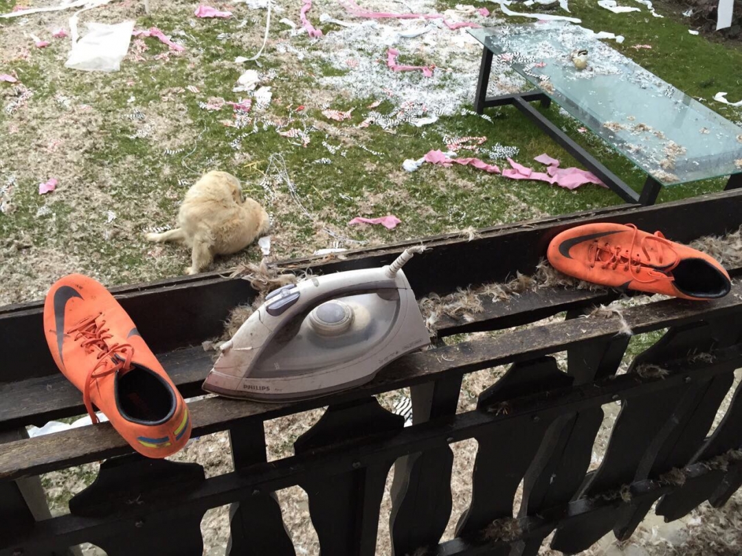 a1268da5911cb3cf56de790641228ee