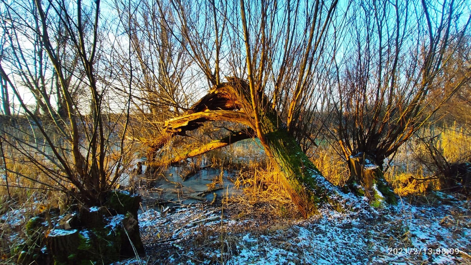 Zvonimir Habuš iz Kotoribe očarava fotografijama netaknute prirode