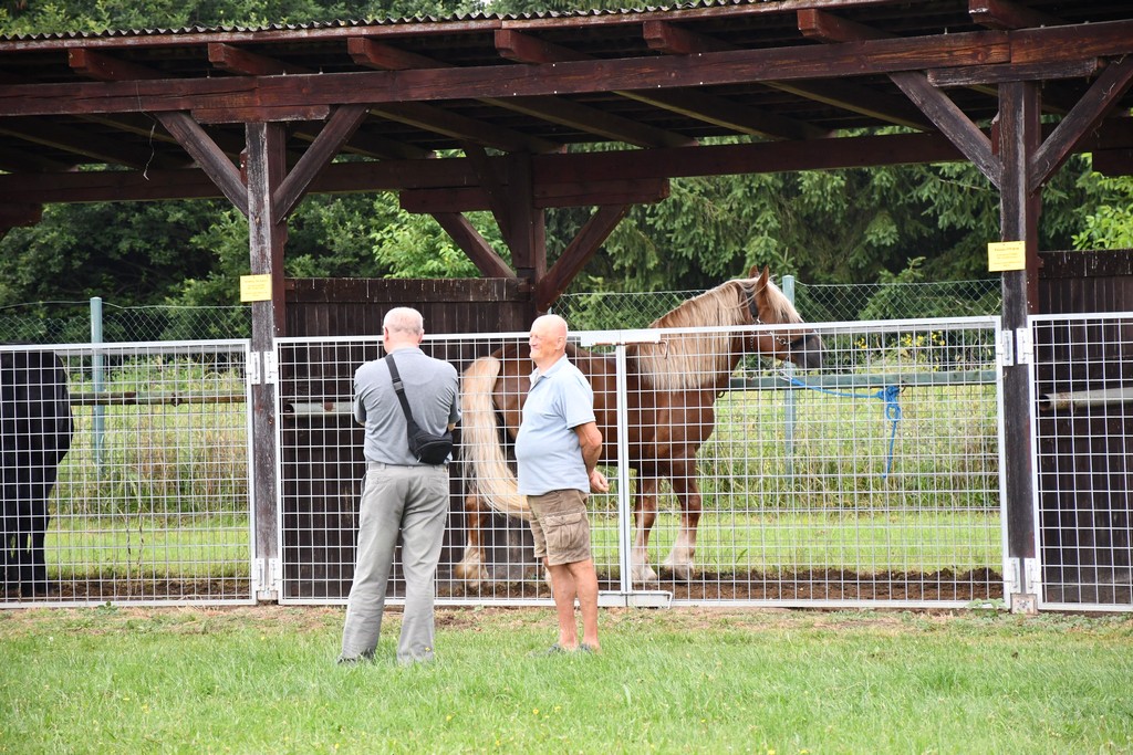 VIDEO I FOTO Međimurska škrinjica pokazala svo bogatstvo kraja med Murom i Dravom