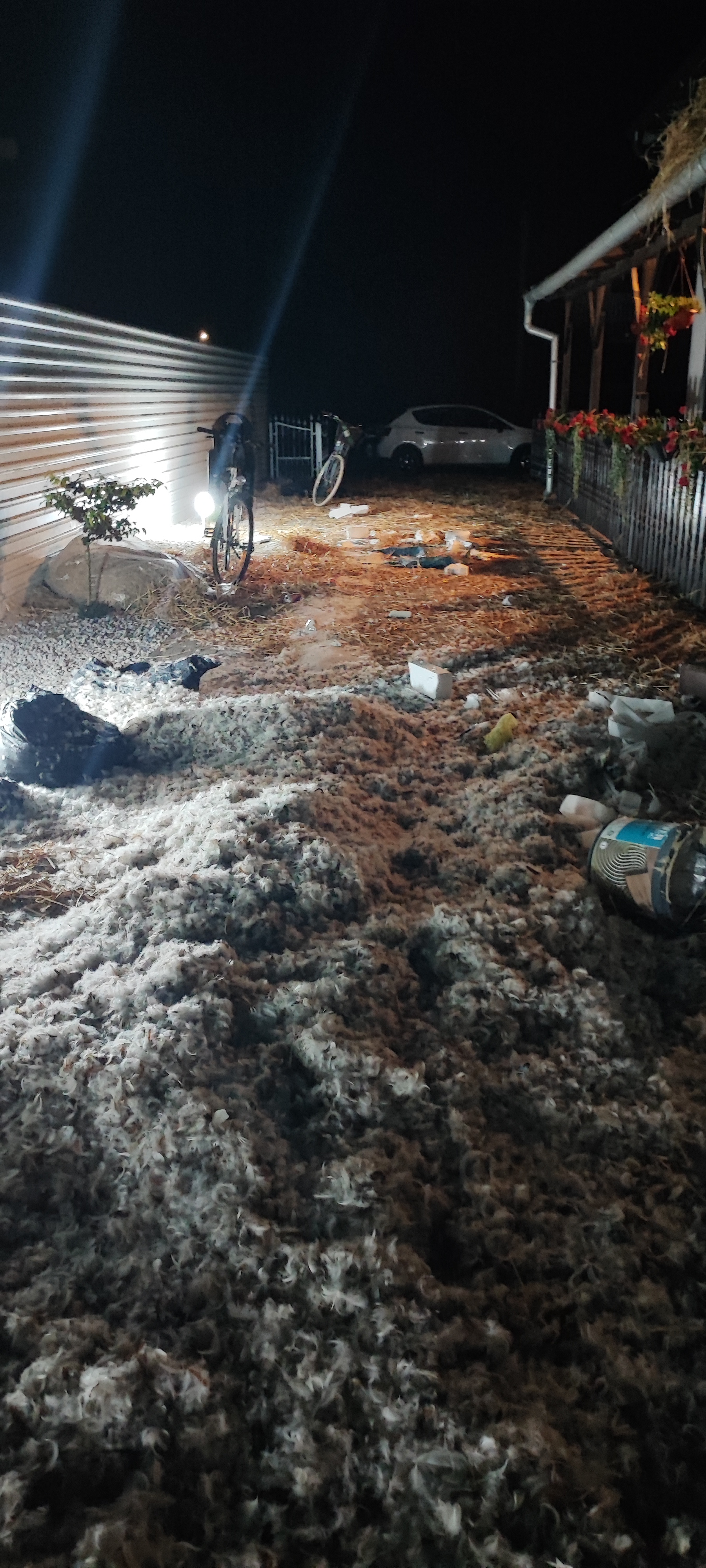 Potepanje u Goričanu