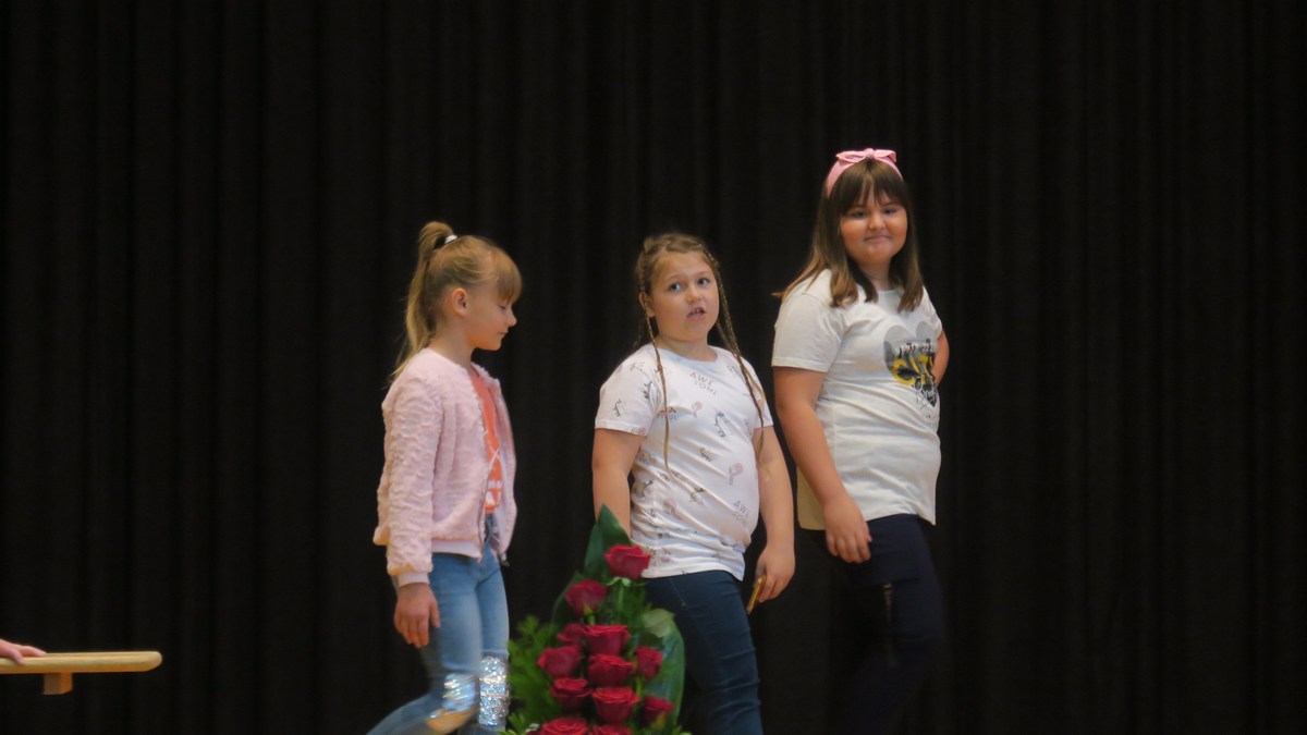 Dan općine Domašinec