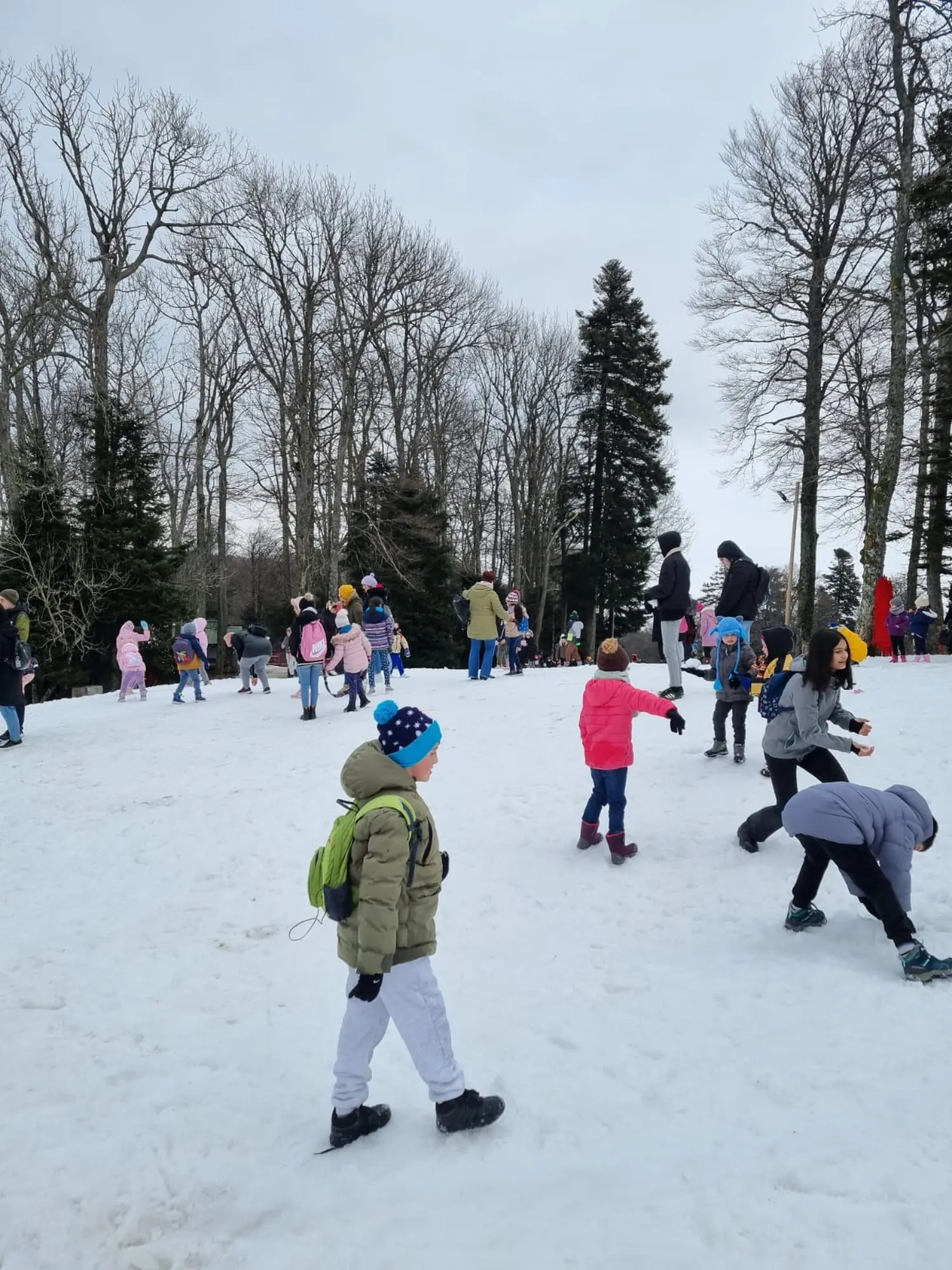 daa2d783-7366-4bb9-855e-baf6bfb9335d daa2d783-7366-4bb9-855e-baf6bfb9335d