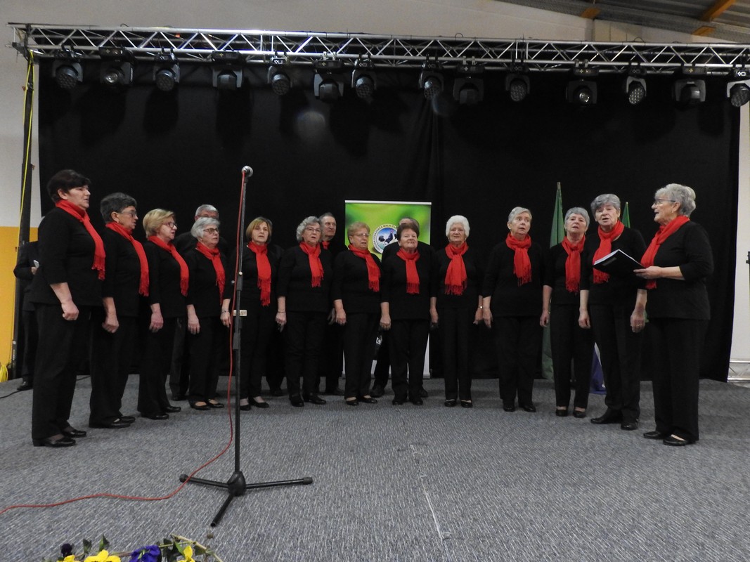 Izložba malih životinja, Mesap,