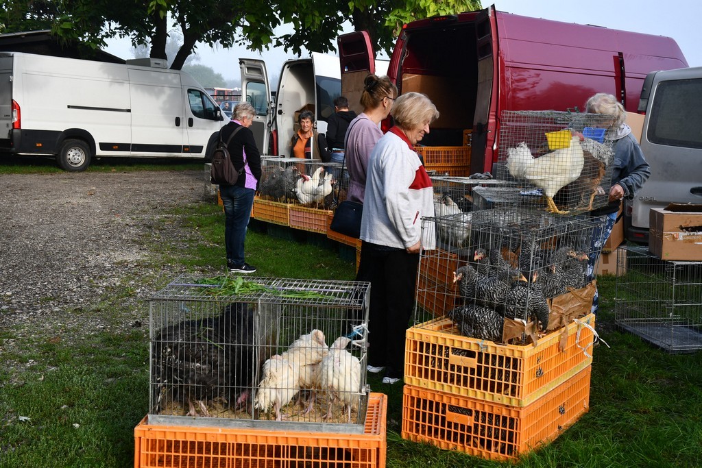 Čakovečki sajam 27.9.2023