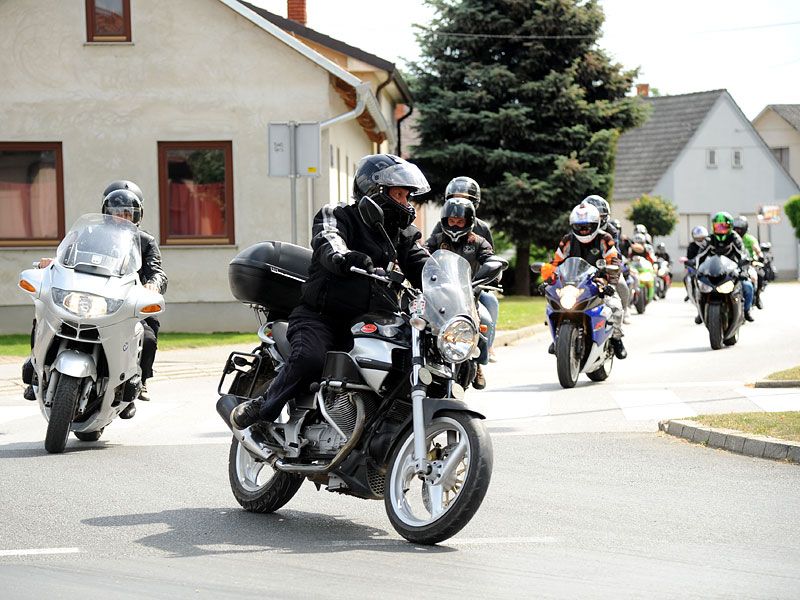 356515540dsc1009861032