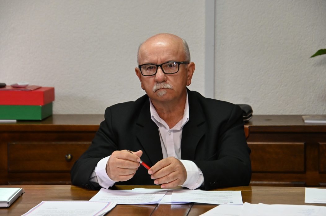 damir novak