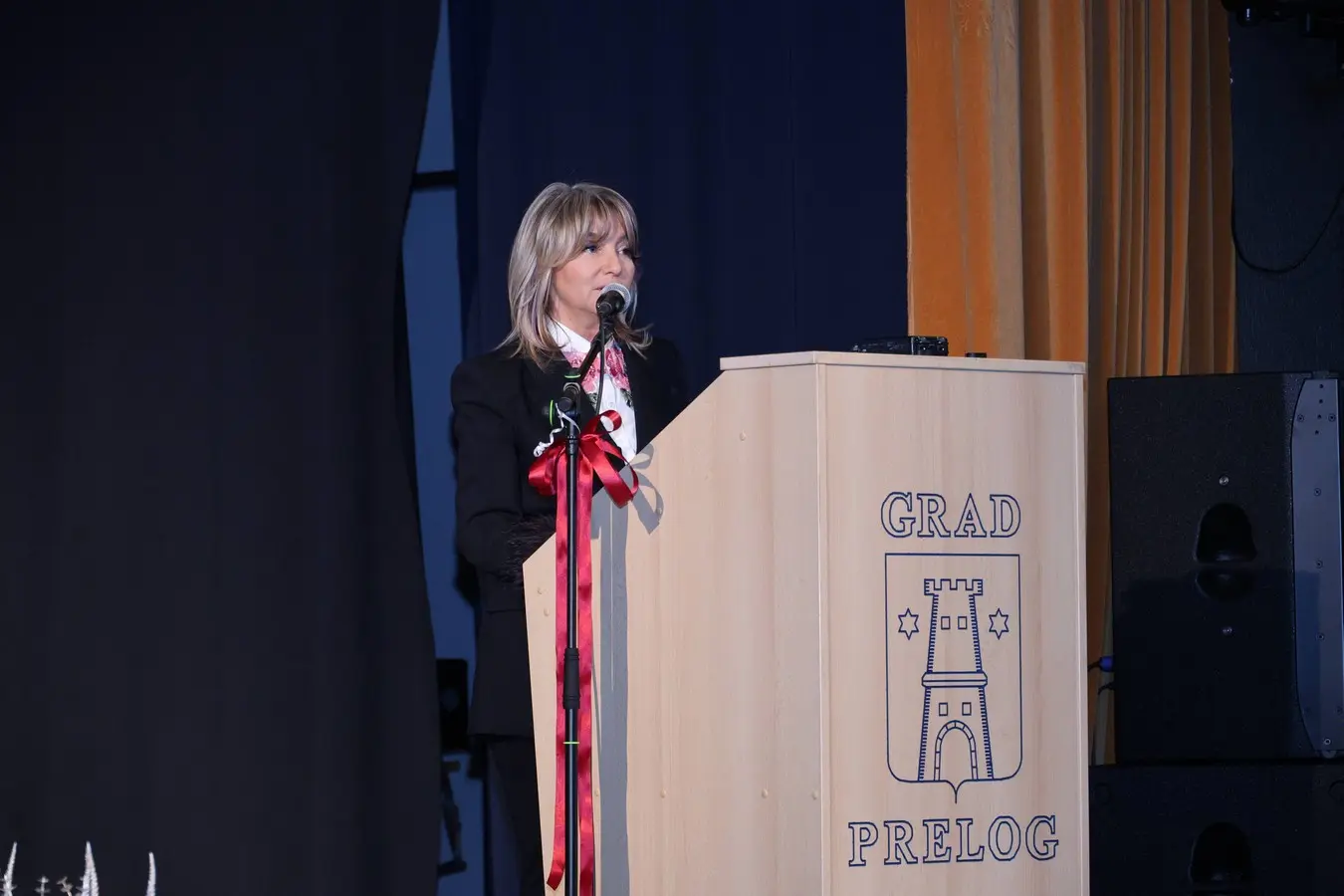 dan grada Preloga 2024 (17)