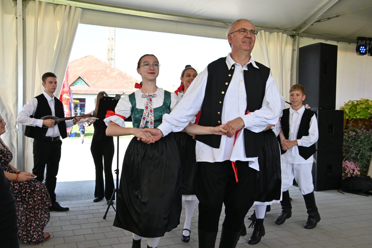 dan macinca (15) dan macinca (15)