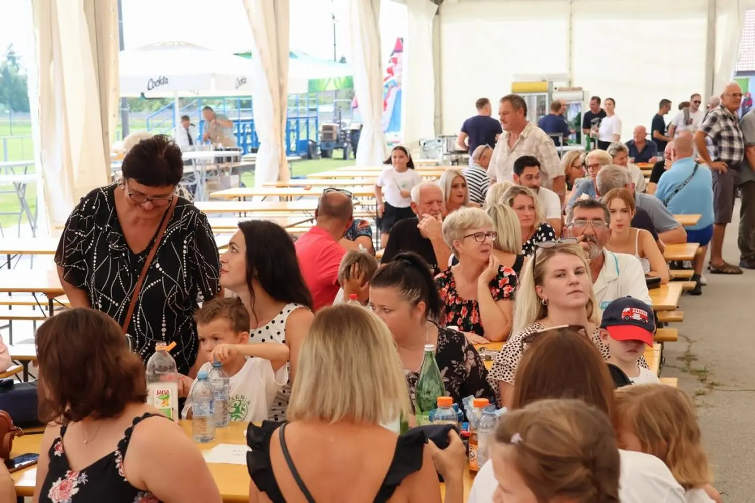 dan macinca 2024 (11) dan macinca 2024 (11)