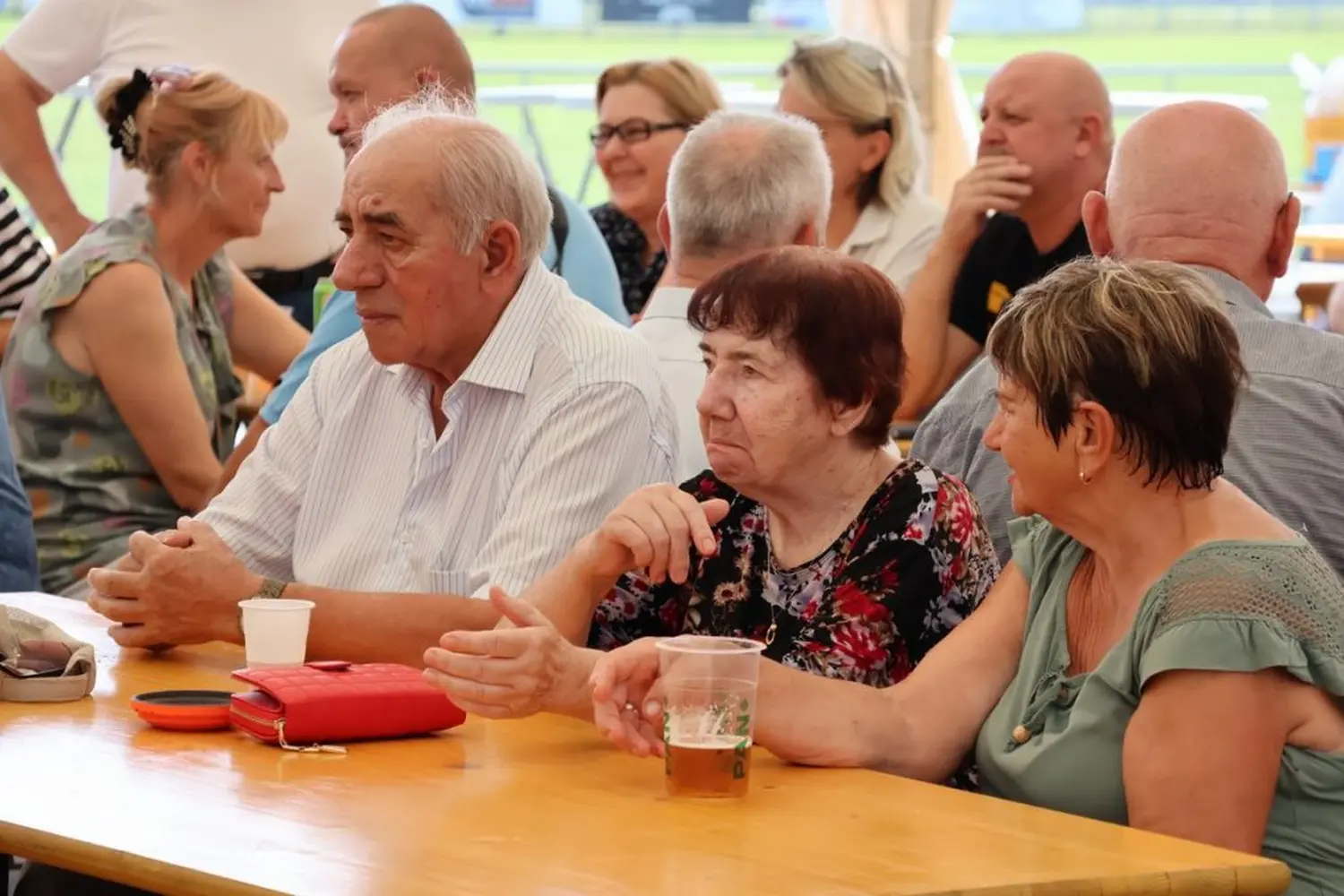 dan macinca 2024 (18) dan macinca 2024 (18)