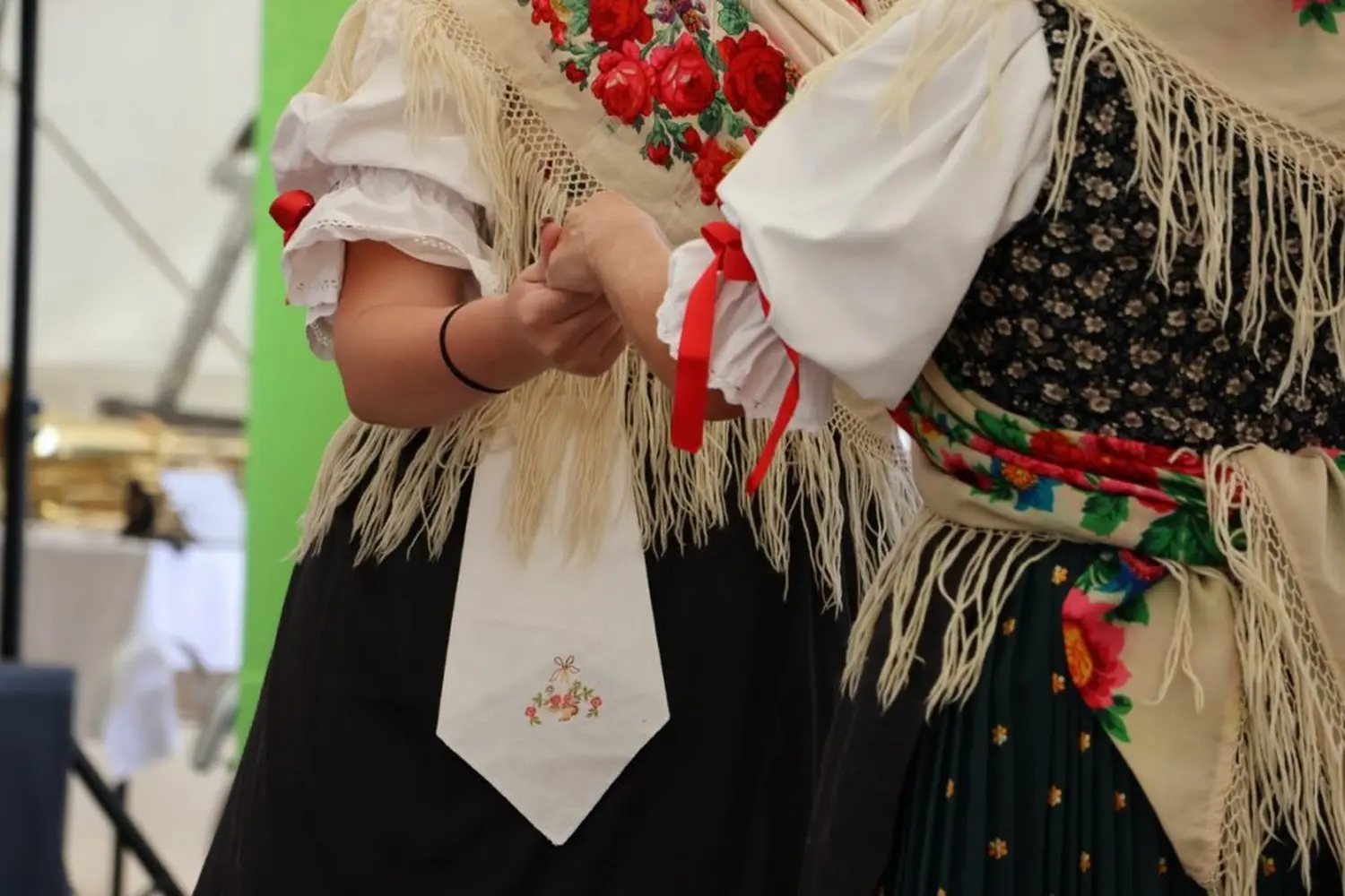 dan macinca 2024 (34) dan macinca 2024 (34)