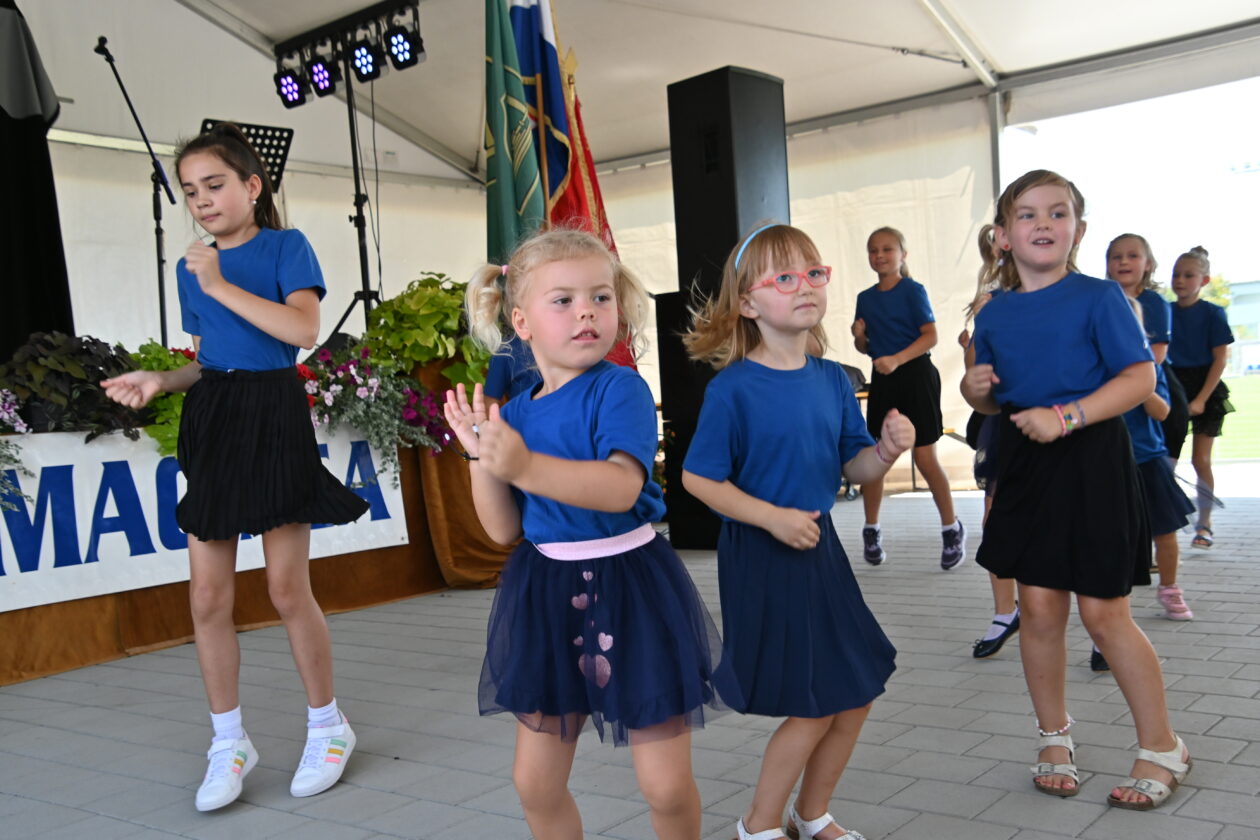 dan macinca (6) dan macinca (6)