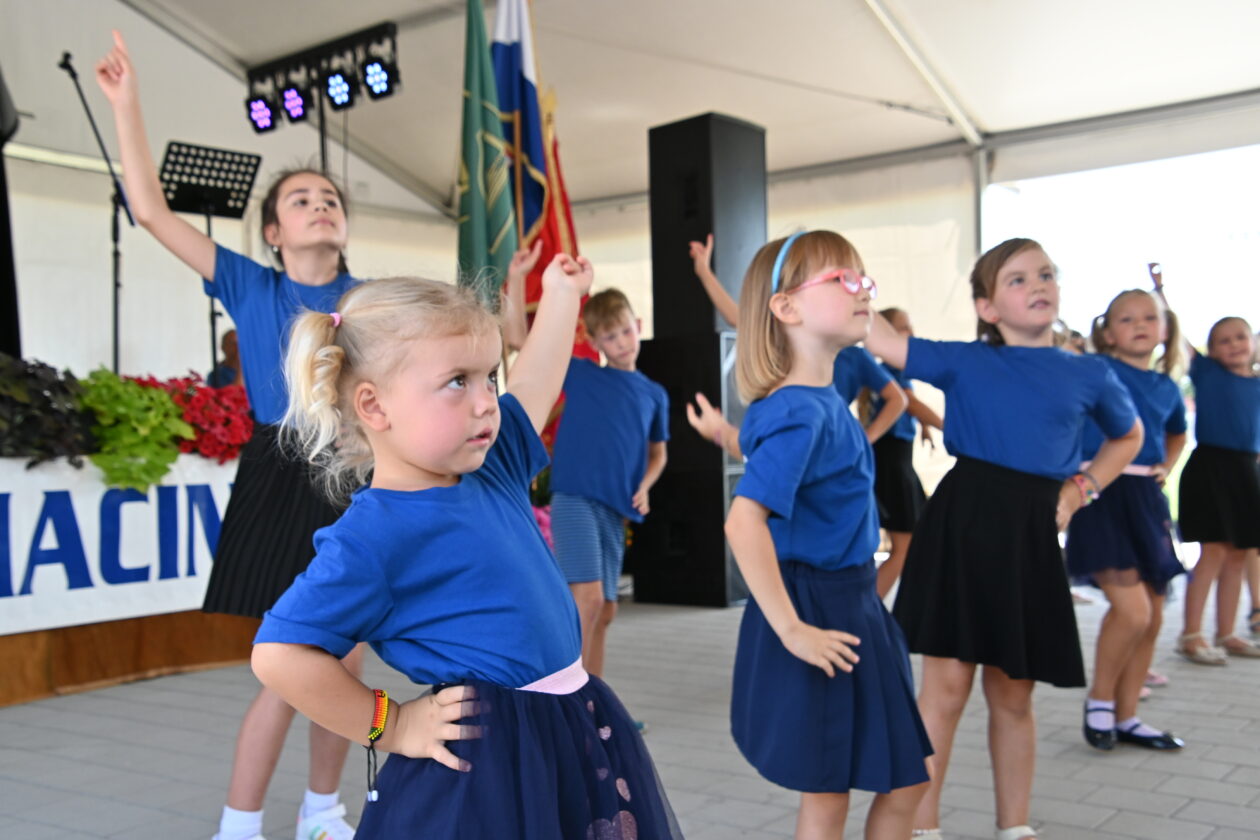 dan macinca (8) dan macinca (8)