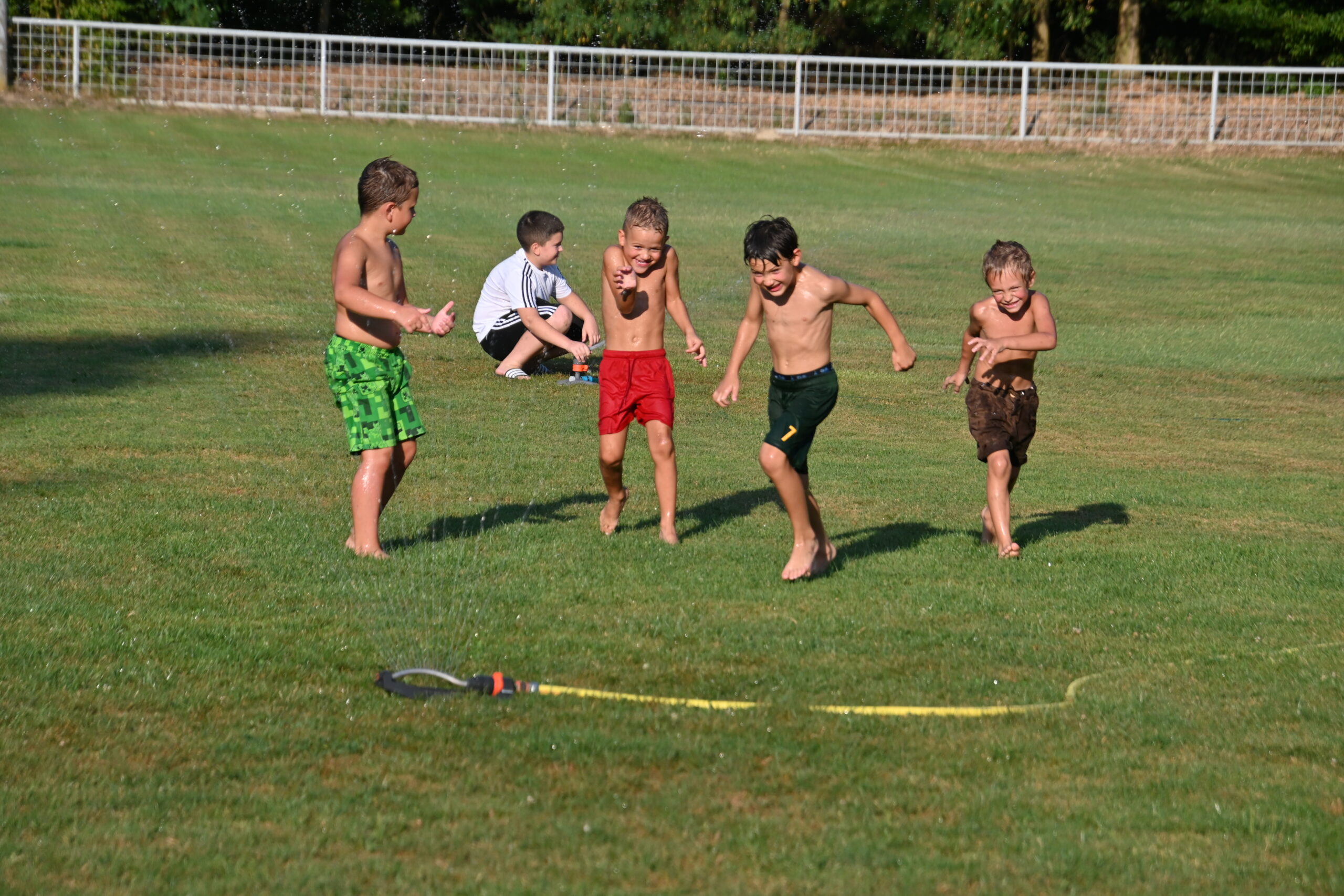 dan malog mihaljevca (10)