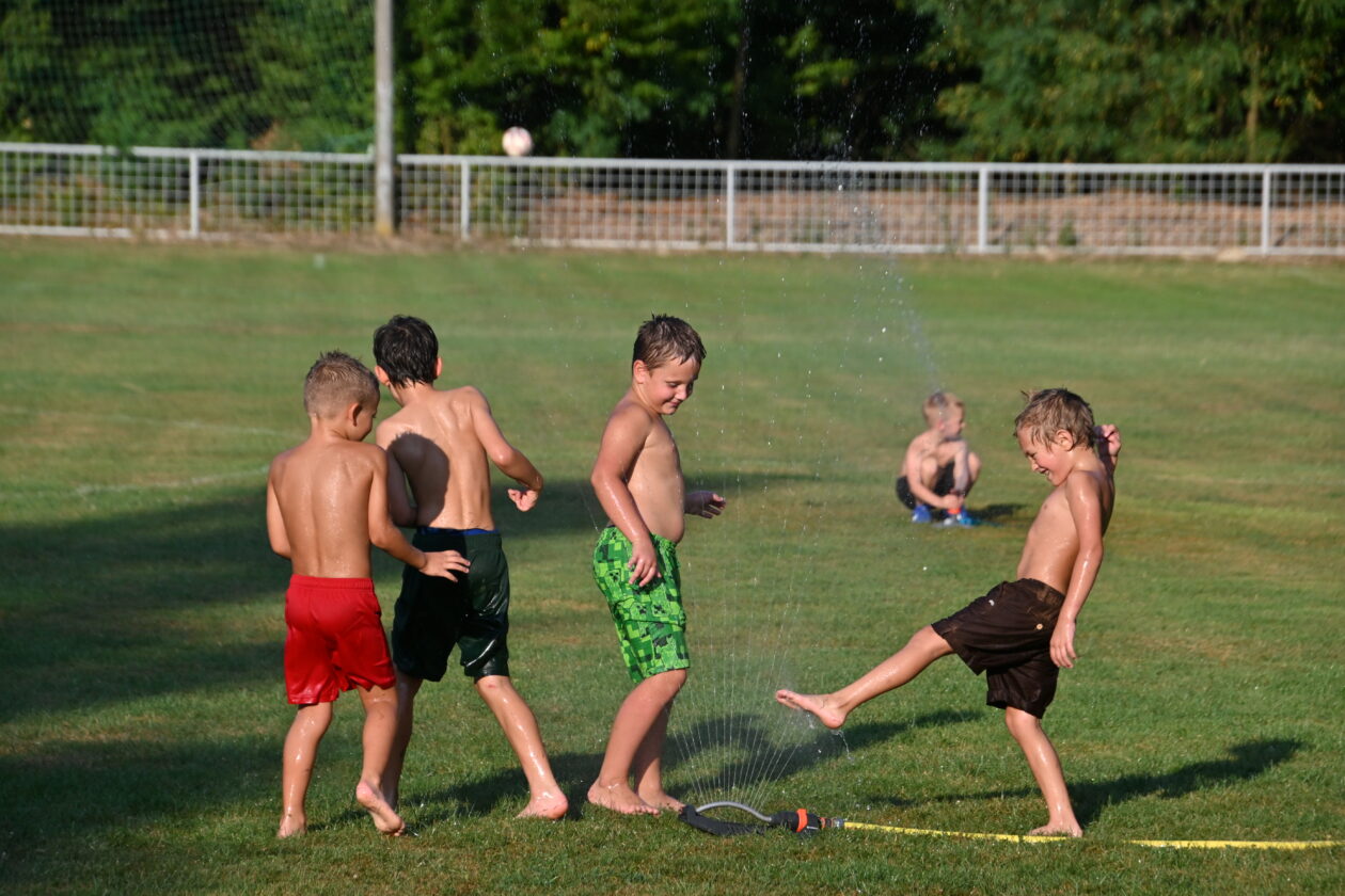 dan malog mihaljevca (7)