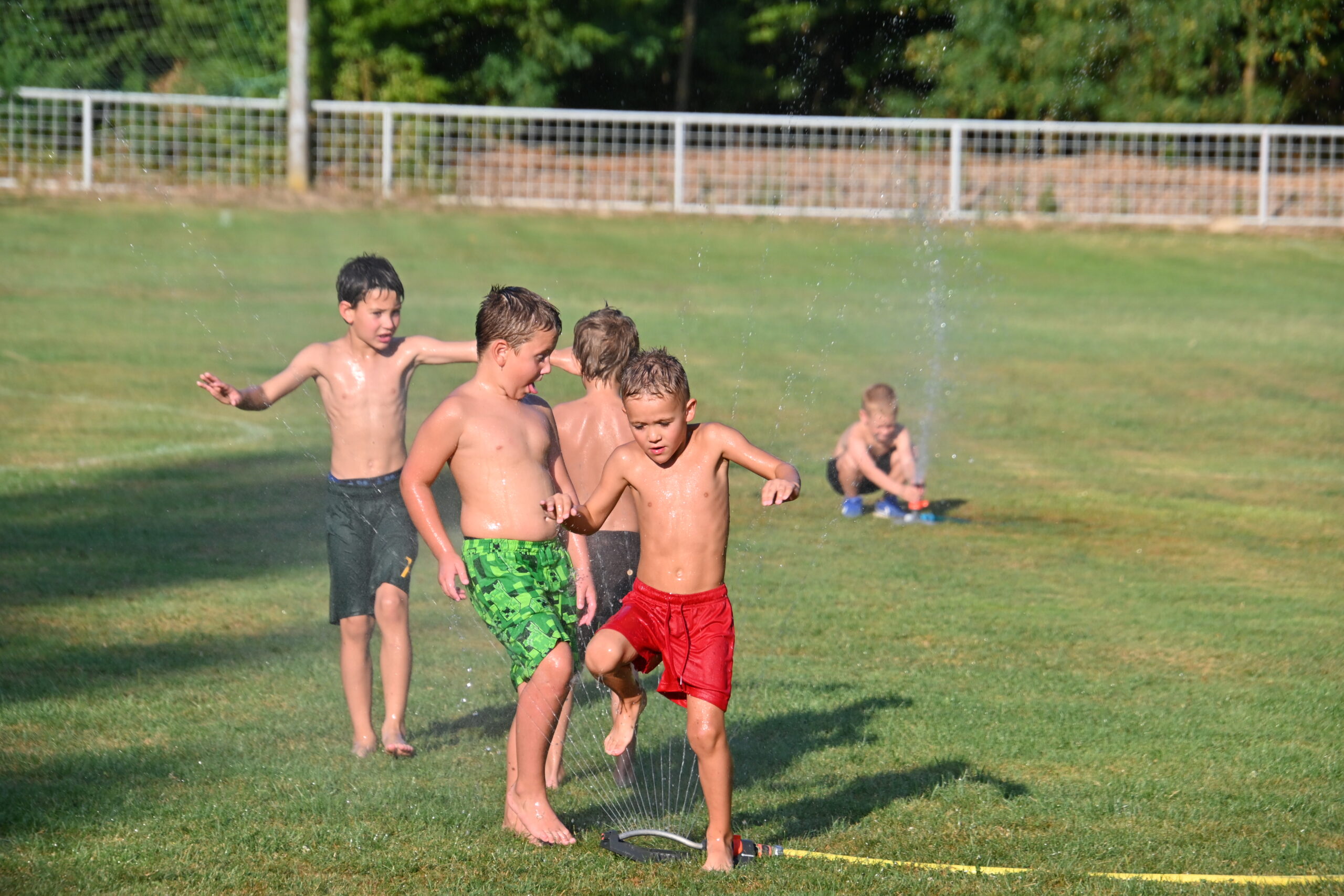 dan malog mihaljevca (8)