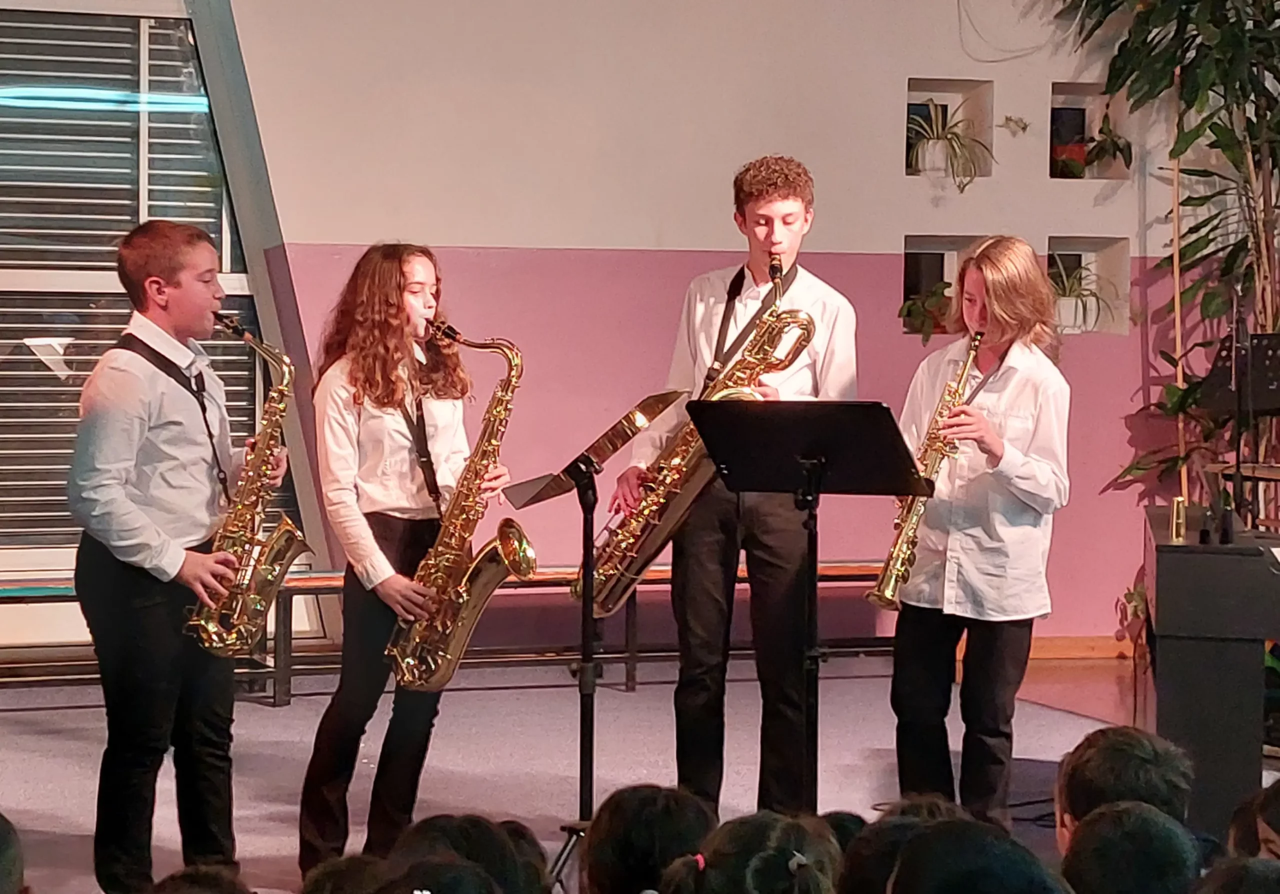 dan međimurske popevke oš kuršanec (12) dan međimurske popevke oš kuršanec (12)