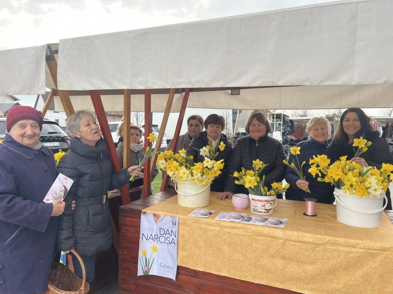 dan narcisa Kotoriba 2026 (1)